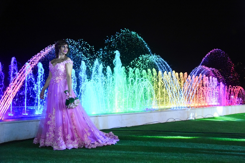 Wedding of Joe & Fida-Celebration